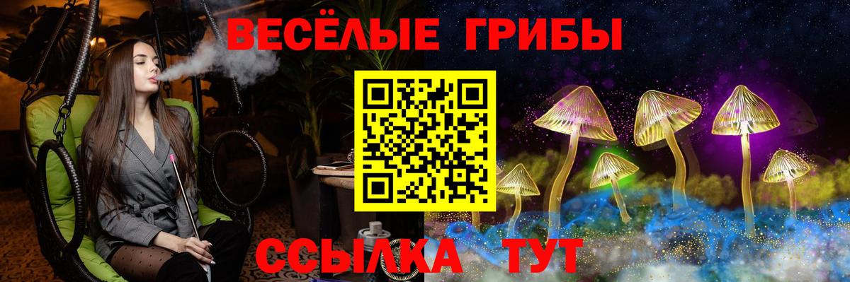 Бошки Шишки  A-PVP СК кристаллы  MDMA  Тихвин  Мефедрон   Вход с VPN  ГАШ  МЕТ  Канабис  Меф 